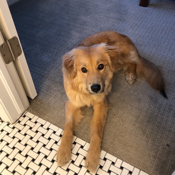 Meet your Posher, Matt - Picture 1 of 1